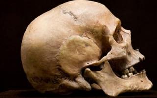 Чому з'явився череп уві сні — пророцтво відомих сонників Наснився череп людини