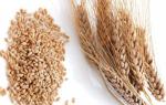 Mga cereal mula sa oats, wheat, millet, barley at sago Ano ang maaaring gawin mula sa trigo