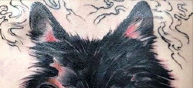 Tatuajul lupului înseamnă pentru bărbați pe braț