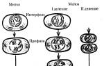 Ce este reproducerea în biologie?